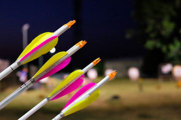 A set of arrows  or archery on target field, night closeup