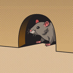 rat mouse peeking out of hole in wall pop art retro vector illustration. Comic book style imitation.