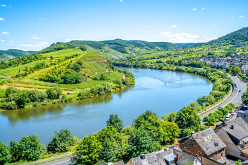 Obraz premium Moselschleife in Bremm, Mosel, Rheinland-Pfalz, Deutschland 