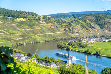 Blick &uuml;ber die Mosel bei Piesport, Deutschland 
