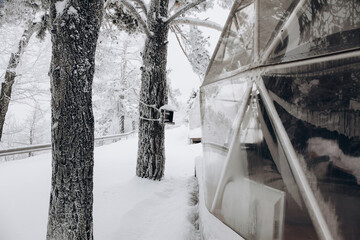 Glamping area with part of dome tent and a bird feeder on tree in the snowy winter forest