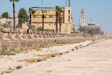 The sphinx avenue of the Luxor Temple