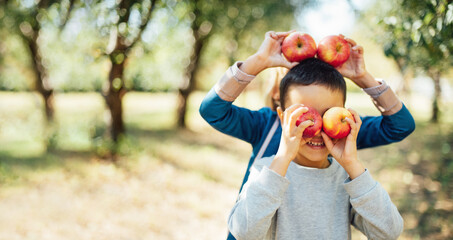 Children with Apple in Apple Orchard. Harvest Concept. Garden, Boy and girl eating fruits at fall....