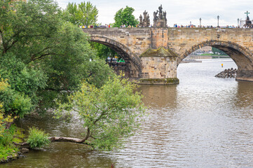 Fototapeta na wymiar Charles Bridge (Czech: Karlův most) in the city of Prague with tree hanging over the water in the foreground.