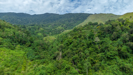 Aerial view of tropical forest, Aceh, Indonesia.