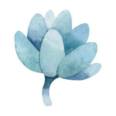 Hand drawn blue succulent clipart on white background. Watercolor botanical illustration.