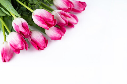On a light background with a place for writing text, a blurred image of delicate white-pink tulips.