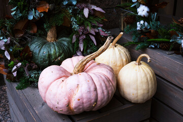 Decorations of multi-colored pumpkins and dried flowers in front of entrance to flower shop on Thanksgiving. Сoncept greeting card, invitation to Happy Thanksgiving. Close-up. Selective focus