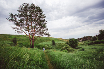 landscape with trees and hills