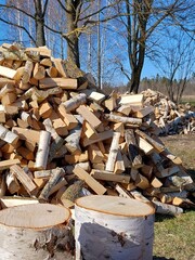 Logs of firewood and a pile of chopped firewood outdoors on a background of trees.