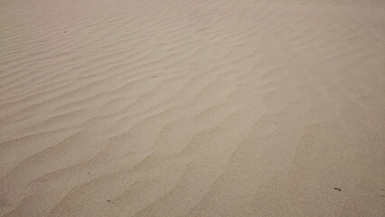 Fototapeta na wymiar ripples in the sand. sand background.