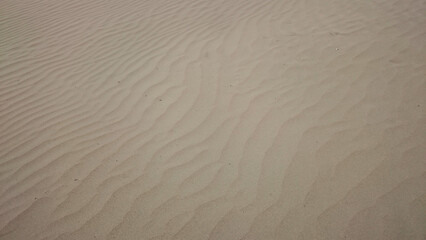 ripples in the sand. sand background.