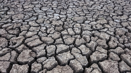 dry land in the dry season. climate change.