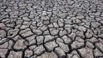 dry land in the dry season. climate change.