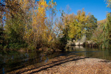 An autumn landscape with trees and a river