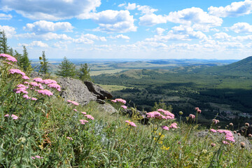 Beautiful view from the mountain on the slope of which blooms pink yarrow and wild onion © Rinat Akhtiamov