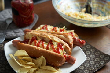 home made hot dogs with coleslaw and fries