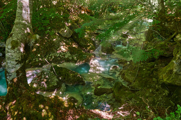 Detail of the Urederra river, Baquedano