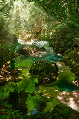 Detail of the Urederra river, Baquedano
