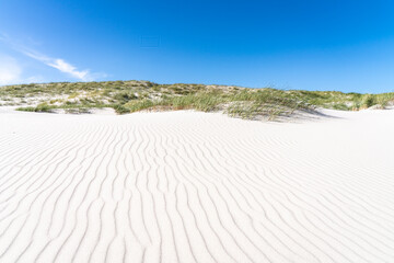 White sandy dune beach with beach grass on a sunny day
