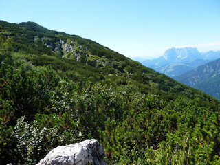Eine grüne Berglandschaft in Tirol.