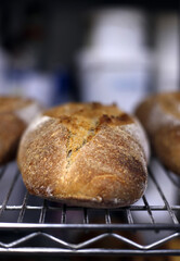 pan artesanal recién elaborado