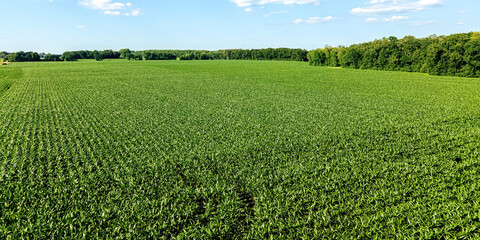 Rural farmland during summer days © Nealj121