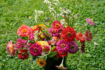 Freshly picked flowers from an outdoor garden. Flowers are in a black bucket.