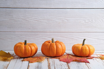 Close up shot of three classic orange pumpkins and fallen maple leaves on white grunged wood background as a symbol of autumnal holidays with a lot of copy space for text.