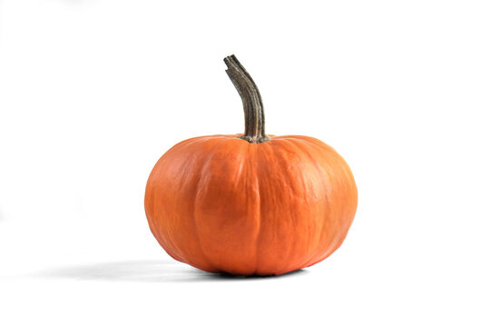 Close up shot of a single classic orange pumpkin isolated on white background as a symbol of autumnal holidays with a lot of copy space for text.