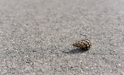The bump lies on the asphalt