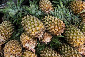 Basket of fresh pineapples.