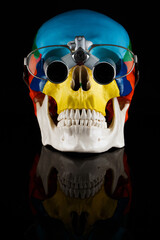 composition of a bright dental skull with binoculars for a dentist on black glass with reflection