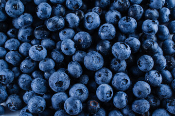 Blueberries with water drops. Blueberry summer seasonal berry. Many natural organic blueberries.