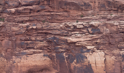 Scenic American Landscape and Red Rock Mountains in Desert Canyon. Spring Season. Canyonlands National Park. Utah, United States. Nature Background.