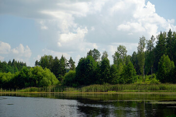 Summer landscape. Forest lake on a hot afternoon. Reflection of the forest and white clouds.