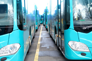 city shuttle buses rank at Frankfurt bus station in Germany, green vehicle public transport...