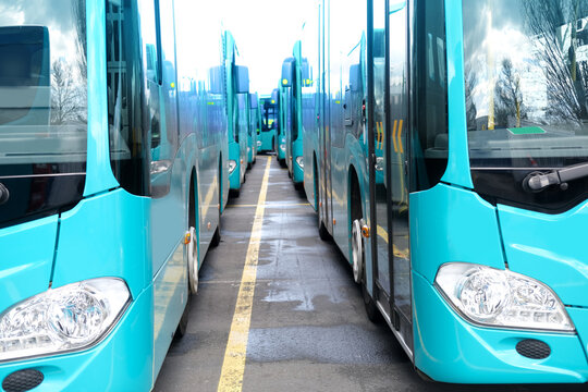 city shuttle buses rank at Frankfurt bus station in Germany, green vehicle public transport concept, transport companies strike, Frankfurt - July 2022