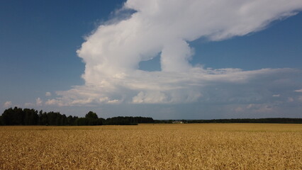 Fototapeta na wymiar Cloud Field