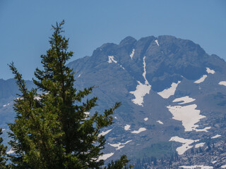 Telephoto view of Round Top peak with tree in July 2022.