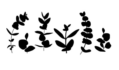 Eucalyptus leaves set black and white. Monochrome sprig silhoette. Floral border © DOROTHEA