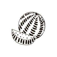 Single hand drawn watermelon. Doodle vector illustration. Isolated on white background.