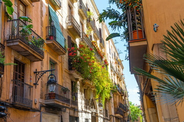 Balconies with plants and flowering bushes on the side of a residential building on Passatge Sert, a colorful alley in the El Born Ribera quarter of the historic old area of Barcelona, Spain.