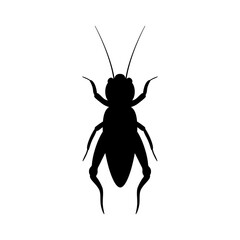 Black silhouette of cricket. Realistic orthopteran insect with long antennae. Monochrome beetle emitting loud vector chirp © IRYNA