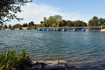 Seepark in Freiburg im Hochsommer