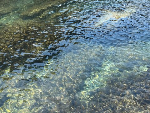 Clear green glittering water in the sea.