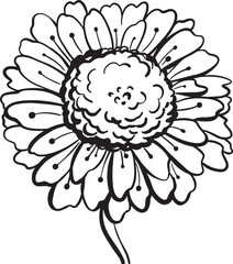 
Line art flower Gerbera black and white background