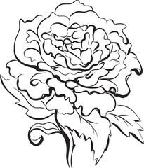 Line art flower Rose black and white background