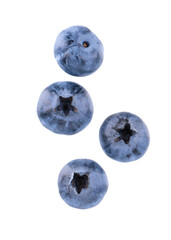 Fresh blueberry isolated on white background. Bilberry or whortleberry. Clipping path. Top view.