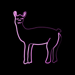 Vector illustration of llama with neon effect.